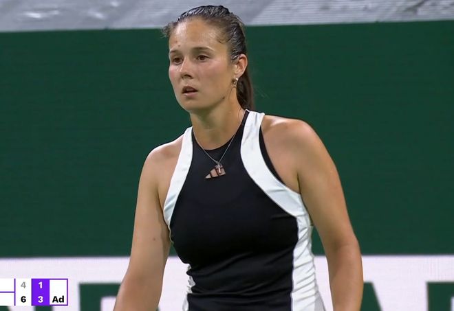 了球迷和媒 了球迷和媒